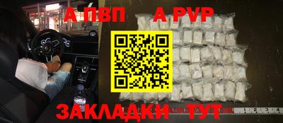 крисы Малгобек
