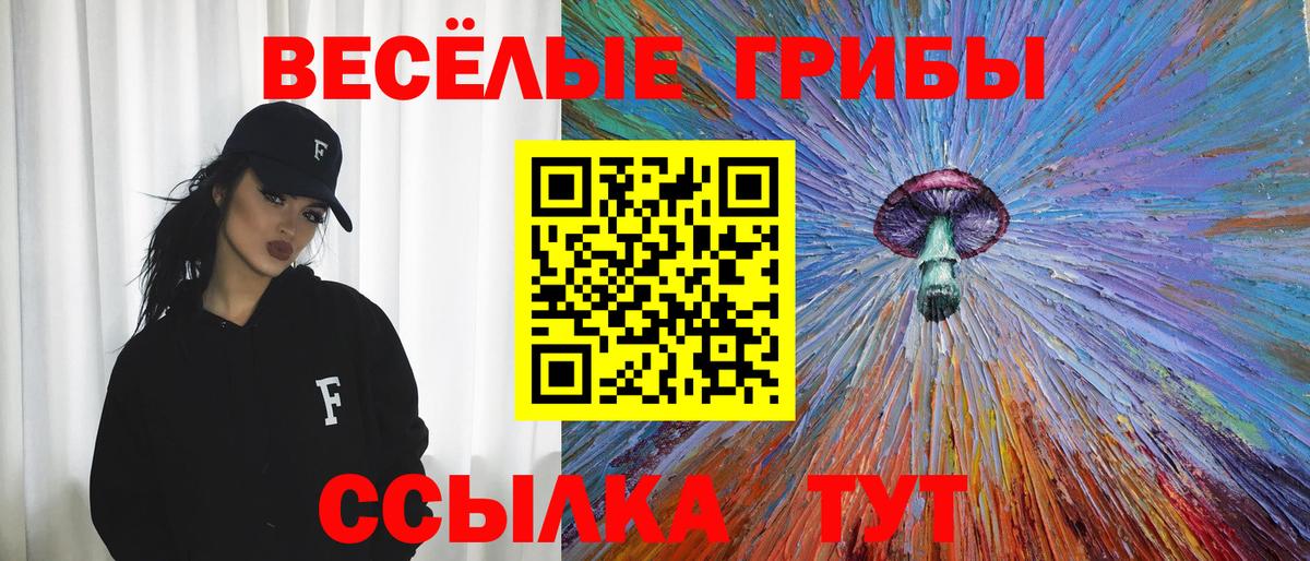 Галлюциногенные грибы Cubensis Чапаевск